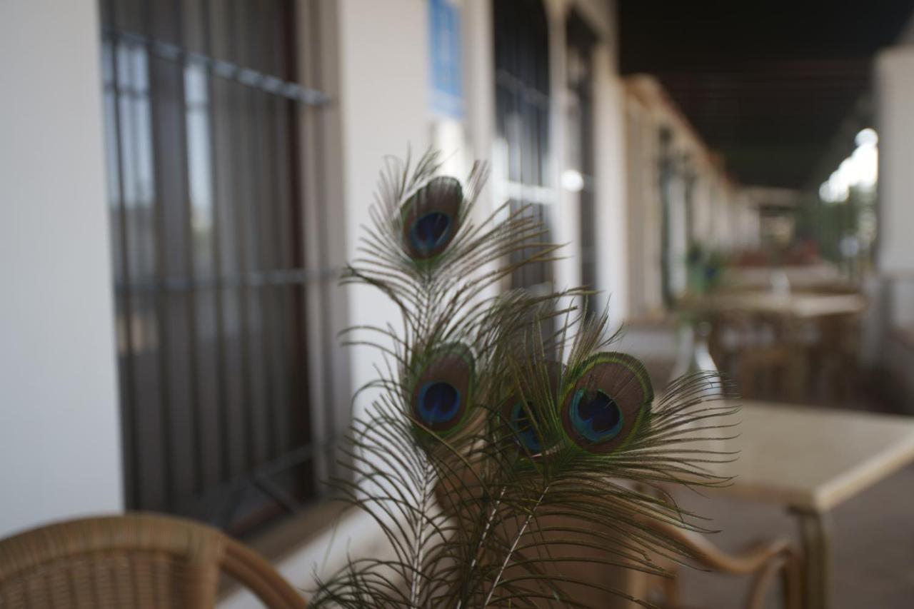 Hostal Rural Santa Habitaciones Aldea DЭль-Росио Экстерьер фото